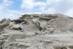 PICTURES/Toadstool Geologic Park/t_P1020359.JPG